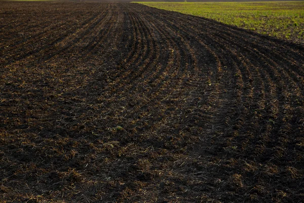 Rolnictwo Czarny Pole Zachód Słońca Światło Zaorane Pole Sezon Jesienny — Zdjęcie stockowe