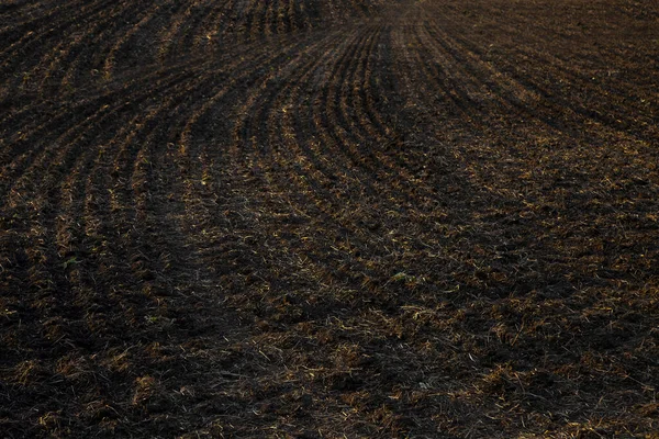 Landwirtschaft Schwarzfeld Und Sonnenuntergang Licht Gepflügtes Feld Herbstzeit — Stockfoto