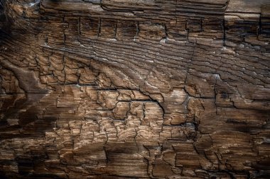 Koyu çatlakları ve deniz kumu olan eski, kalın ahşap bir tahta parçası. Kahverengi ahşap doku. Soyut arkaplan, boş şablon