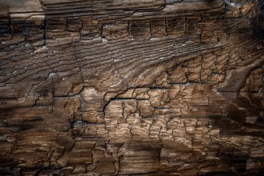 Koyu çatlakları ve deniz kumu olan eski, kalın ahşap bir tahta parçası. Kahverengi ahşap doku. Soyut arkaplan, boş şablon