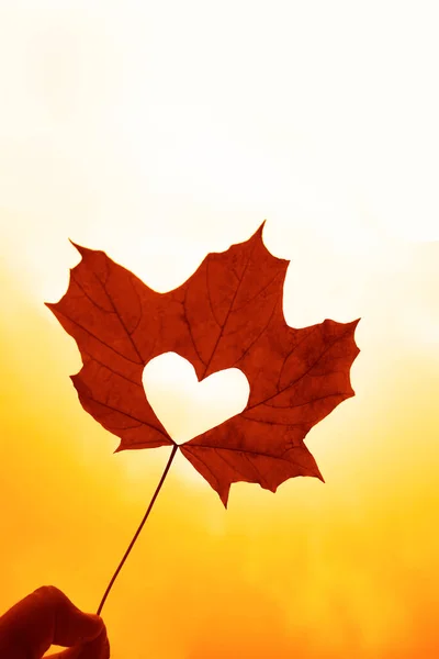 Close Shot Hand Holding Yellow Leaf Heart Shape Sun Rays — Stock Photo, Image
