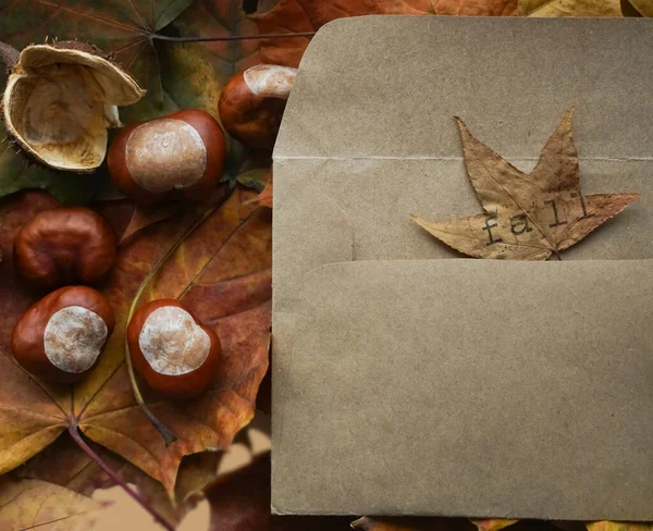 Offener Umschlag Mit Herbstlichen Grüßen Wie Bunten Blättern Samen Kastanien — Stockfoto