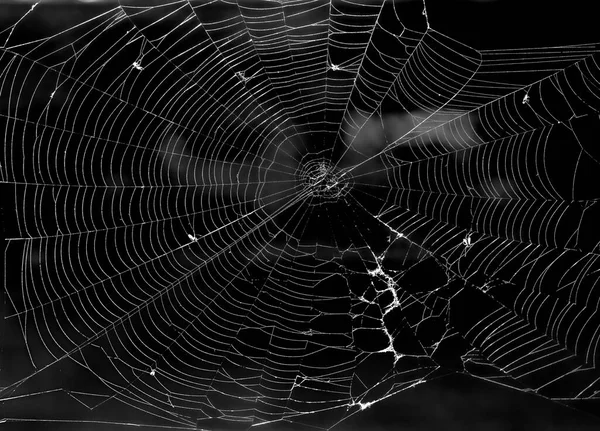 Horror Old Stoned Windowframe Cobweb Insect Web Ancient European House — Stock Photo, Image