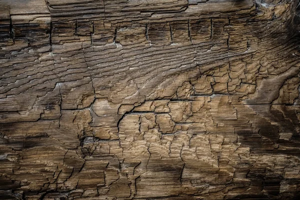 Texture Une Vieille Planche Bois Épaisse Noueuse Avec Des Fissures — Photo