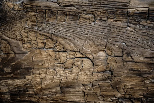 Struktura Staré Uzlovité Tlusté Dřevěné Desky Tmavými Prasklinami Mořským Pískem — Stock fotografie