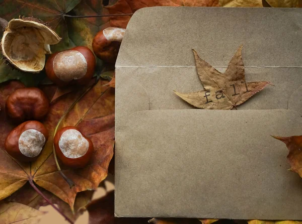 Open Envelop Met Herfstgroeten Zoals Kleurrijke Bladeren Zaden Kastanjes Noten — Stockfoto