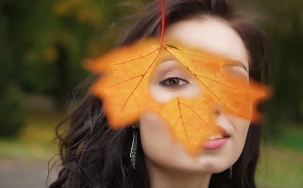 Femme Automne Tenant Feuille Érable Jaune Cachant Son Œil Mignon — Photo