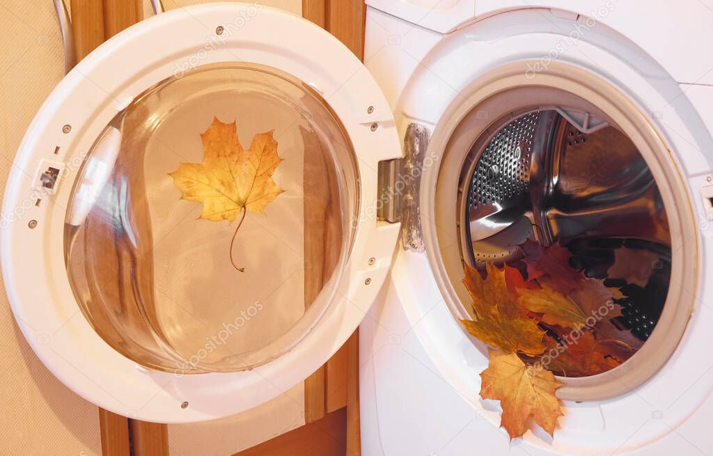 dry maple foliage  inside Modern washing machine. autumn season. idea, concept of fall. 