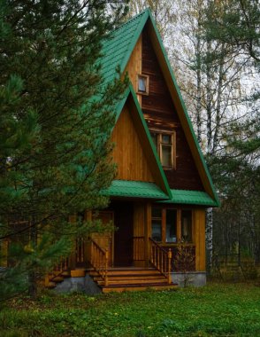 Ormandaki ahşap ev. Bir çam ormanında sabah ışığı parlayan küçük ahşap bir ev..