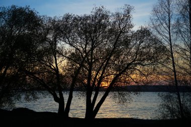 Sonbahar günbatımı, parlak turuncu günbatımını yansıtan çıplak ağaç dallarına bakıyor. Güneş uzak dağların ardında batıyor siluet içinde.