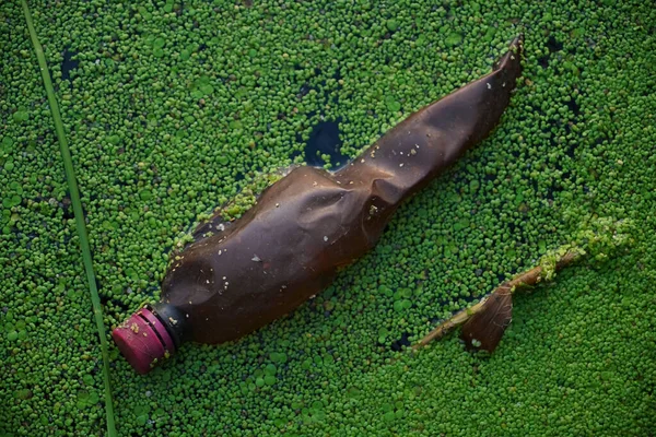 Plastic debris in the pond . used  brown plastic bottle