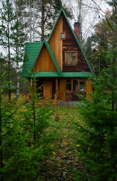 Casa Madera Bosque Una Pequeña Casa Madera Bosque Pinos Con — Foto de Stock