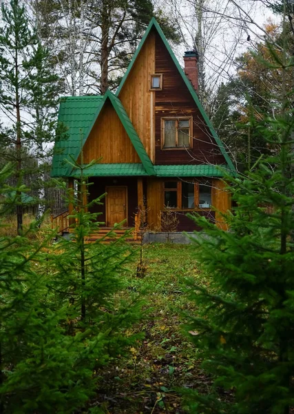 Rumah Kayu Hutan Sebuah Rumah Kayu Kecil Hutan Pinus Dengan — Stok Foto