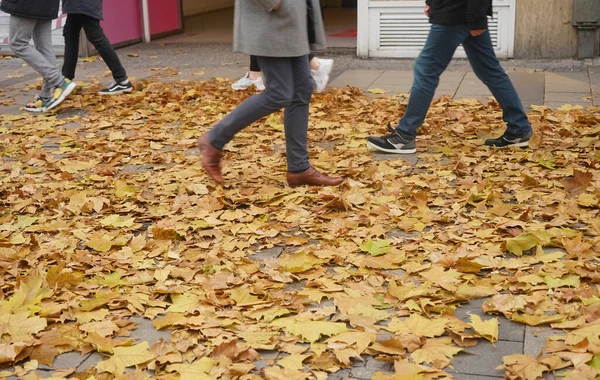 Пешеходы Ходят Разных Туфлях Осеннем Тротуаре Опавшими Листьями — стоковое фото
