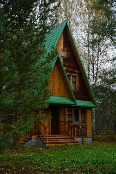 Rumah Kayu Hutan Sebuah Rumah Kayu Kecil Hutan Pinus Dengan — Stok Foto