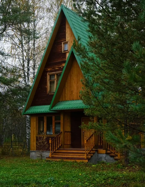 Drewniany Dom Lesie Mały Drewniany Dom Sosnowym Lesie Porannym Światłem — Zdjęcie stockowe