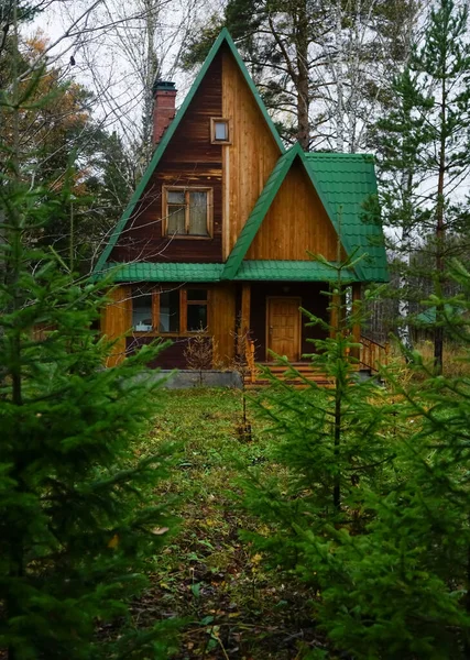 Casa Madera Bosque Una Pequeña Casa Madera Bosque Pinos Con — Foto de Stock