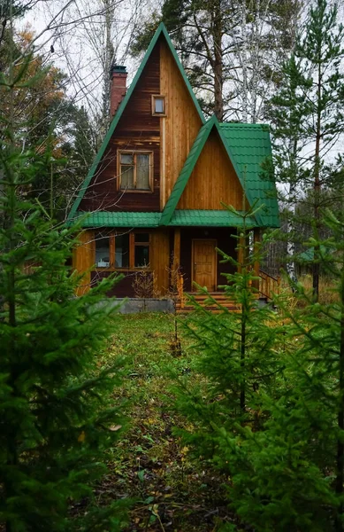 Dřevěný Dům Lese Malý Dřevěný Domek Borovém Lese Zářícím Ranním — Stock fotografie