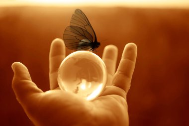 Kelebekli dünya, insan eliyle güneşli gökyüzüne ve yeşil ormana karşı. Çevre koruma kavramı. Güneş ışığı. Kelebek yukarıda oturur. Güneş enerjisi.