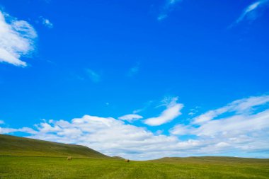 Saman yığınlı sarı yeşil tarla, çiftçi. saman yığınları ile arazi manzarası.