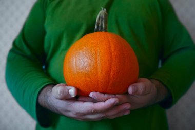 Küçük balkabağını elinde tutan adam. Cadılar bayramı kutlaması için balkabağı. Yüzü yok. resmi kapat.