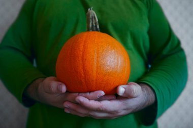 Küçük balkabağını elinde tutan adam. Cadılar bayramı kutlaması için balkabağı. Yüzü yok. resmi kapat.