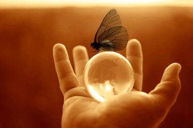 Kelebekli dünya, insan eliyle güneşli gökyüzüne ve yeşil ormana karşı. Çevre koruma kavramı. Güneş ışığı. Kelebek yukarıda oturur. Güneş enerjisi.