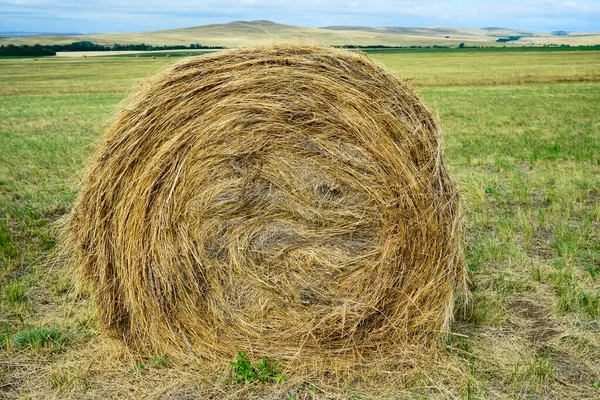 Gyönyörű Táj Mezőgazdasági Terület Kerek Köteg Száraz Mezőn Szemben Kék — Stock Fotó