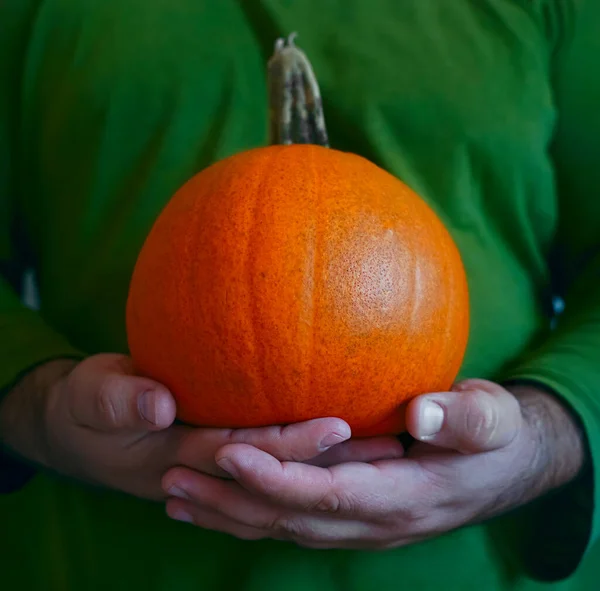 Küçük balkabağını elinde tutan adam. Cadılar bayramı kutlaması için balkabağı. Yüzü yok. resmi kapat.