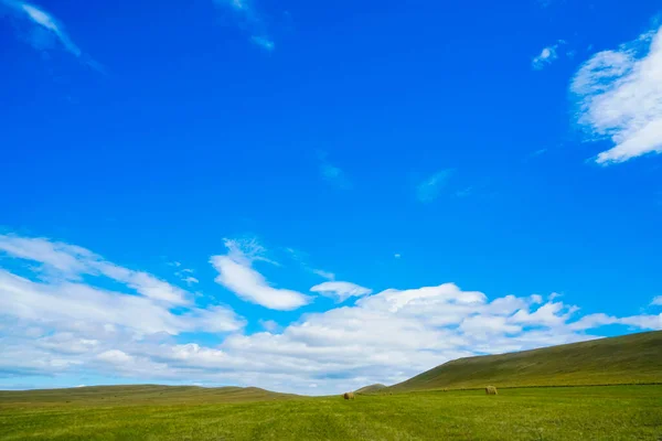 Gelbgrüne Wiese Mit Heuhaufen Landwirt Feldlandschaft Mit Heuhaufen — Stockfoto