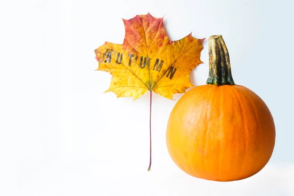 One Small Pumpkin One Maple Leaf Word Autumn — Stock Photo, Image