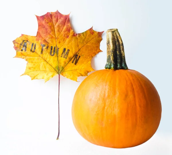 Ein Kleiner Kürbis Und Ein Ahornblatt Wort Herbst — Stockfoto