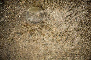 Su altı küresi. Dünya Çevre Günü 'nde küresel ısınma kavramını azaltın. Dünya 'yı sular altında bırakma fikri. genel sel