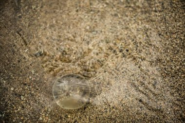Su altı küresi. Dünya Çevre Günü 'nde küresel ısınma kavramını azaltın. Dünya 'yı sular altında bırakma fikri. genel sel