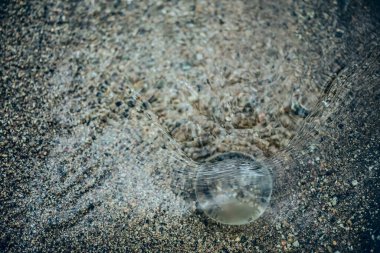 Su altı küresi. Dünya Çevre Günü 'nde küresel ısınma kavramını azaltın. Dünya 'yı sular altında bırakma fikri. genel sel