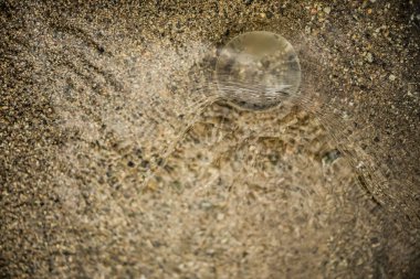 Su altı küresi. Dünya Çevre Günü 'nde küresel ısınma kavramını azaltın. Dünya 'yı sular altında bırakma fikri. genel sel