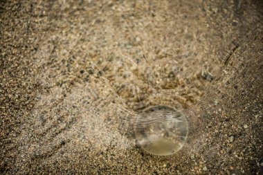 Su altı küresi. Dünya Çevre Günü 'nde küresel ısınma kavramını azaltın. Dünya 'yı sular altında bırakma fikri. genel sel