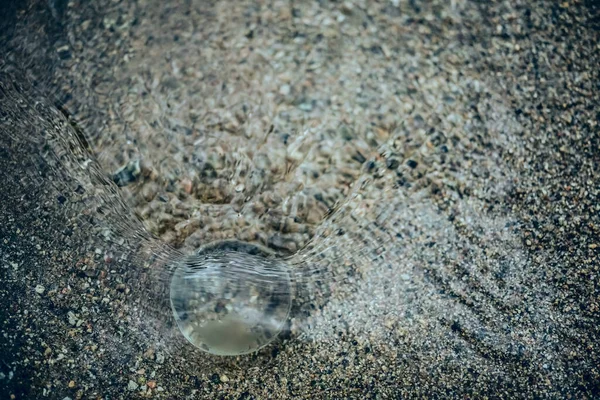 Unterwasserwelt Reduzierung Der Globalen Erwärmung Erdkonzept Weltumwelttag Überschwemmung Erde Idee — Stockfoto