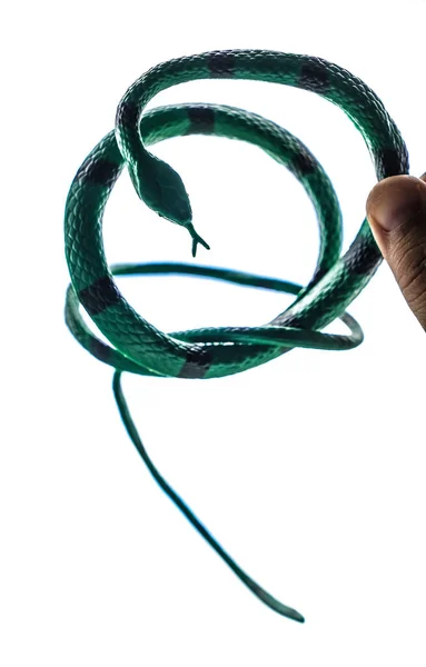 Рука Держит Зеленую Змею Белом Фоне — стоковое фото