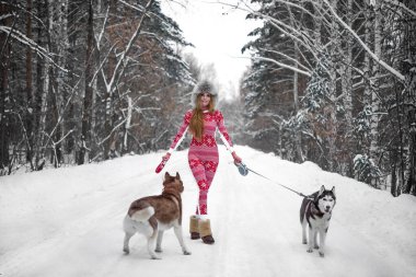 Kış ormanında birkaç iri köpekle yürüyen bir kadın. Kış mevsimi. Uzun boylu bir kız. Gri ve kahverengi kabuklu. 