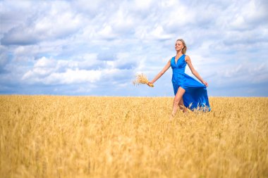 Romantik zayıf kadın buğday tarlasında koşuyor. Kadın parlak mavi uzun elbise giyiyor. Sevimli genç bir kız mavi gökyüzünde yürüyor. yaz günü.