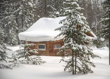 Kışın ormandaki ahşap ev