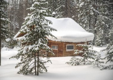 Kışın ormandaki ahşap ev