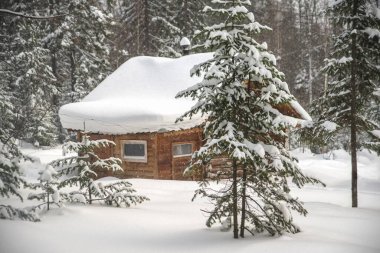 Kışın ormandaki ahşap ev