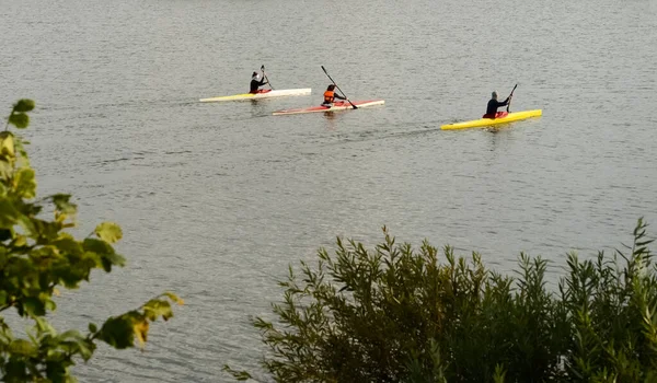 Tres Niños Flotando Kayaks — Foto de Stock