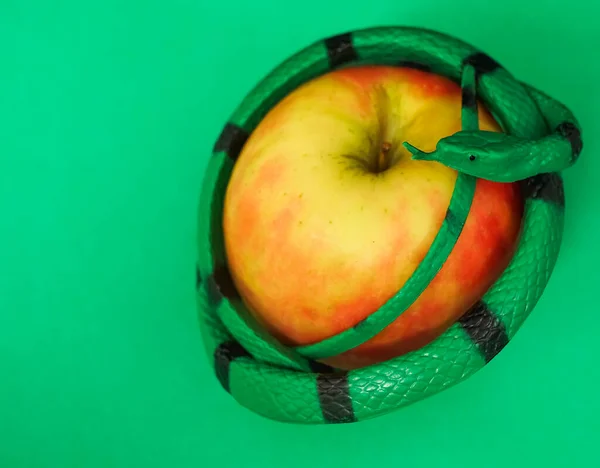 red apple and green snake. Isolated