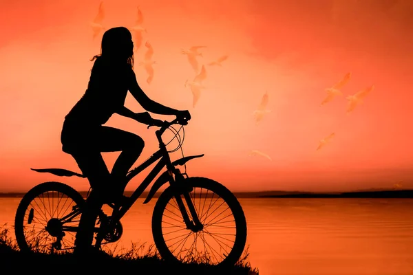 Силуэт Женщины Велосипеде Закат Морской Фон Чайка Летит Небе — стоковое фото