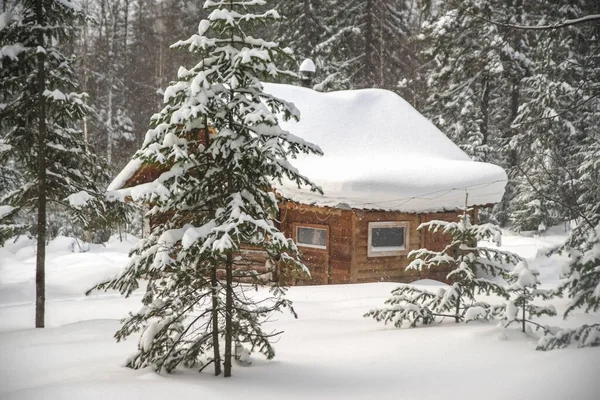 Casa Madera Bosque Invierno — Foto de Stock