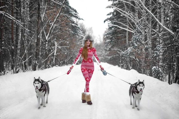 Mulher Andando Floresta Inverno Com Par Cães Husky Temporada Inverno — Fotografia de Stock