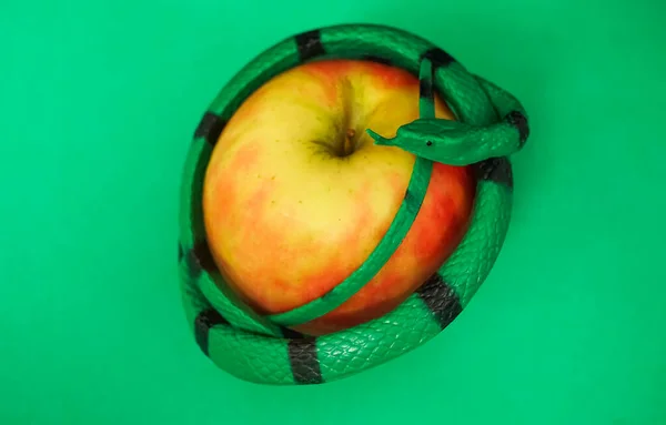 Červené Jablko Zelený Had Izolované — Stock fotografie